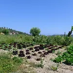 Rosa 度假居