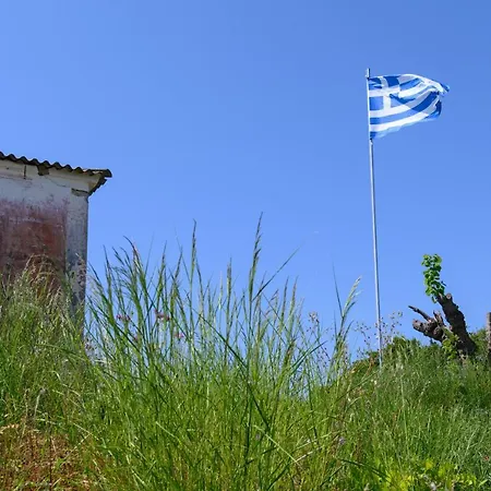 Rosa Σπίτι διακοπών Argyrades