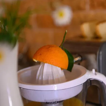 Rosa Dom wakacyjny *