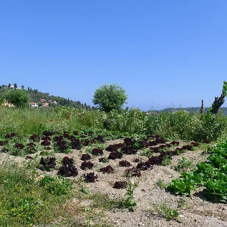 Rosa Hébergement de vacances